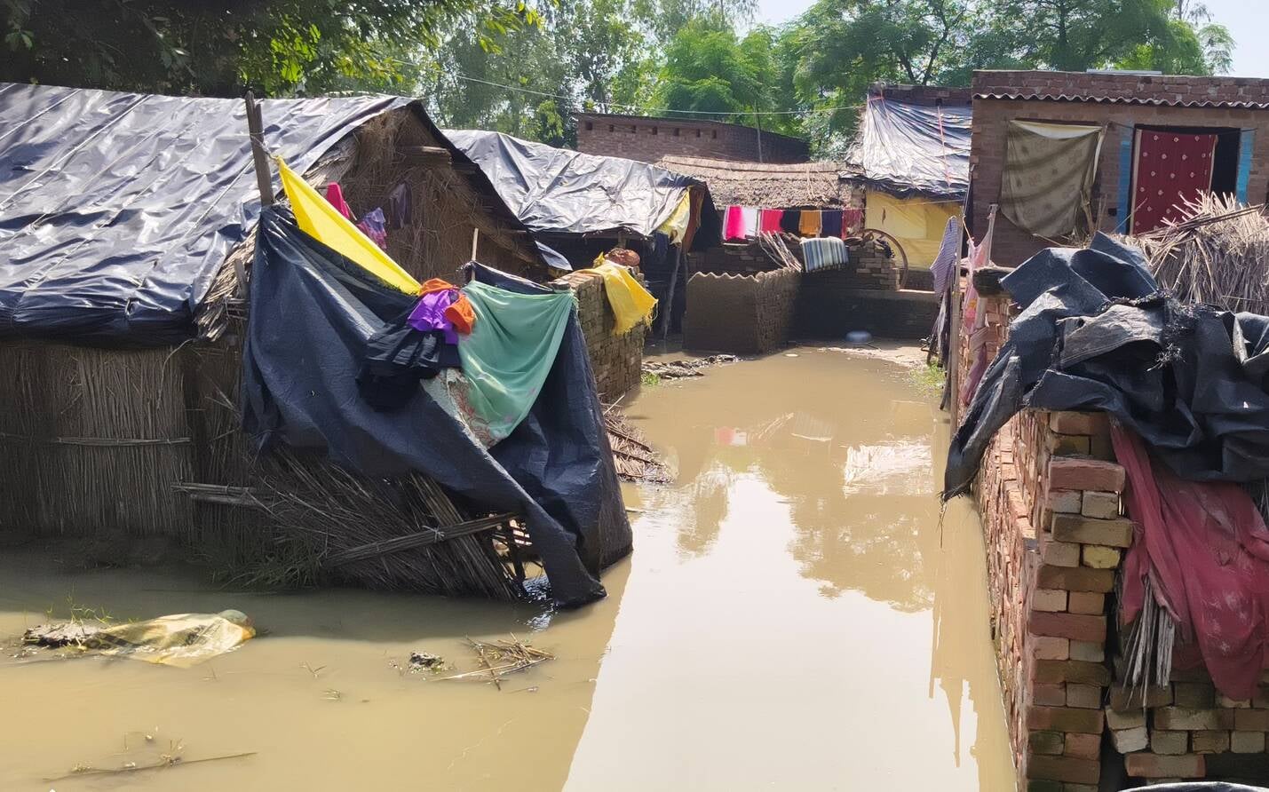 तिकोलाघाट के पास बाढ़ग्रस्त क्षेत्र का निरीक्षण करते एडीएम व अन्य अधिकारी। संवाद तिकोलाघाट के पास बाढ़ग्रस्त क्षेत्र का निरीक्षण करते एडीएम व अन्य अधिकारी। संवाद