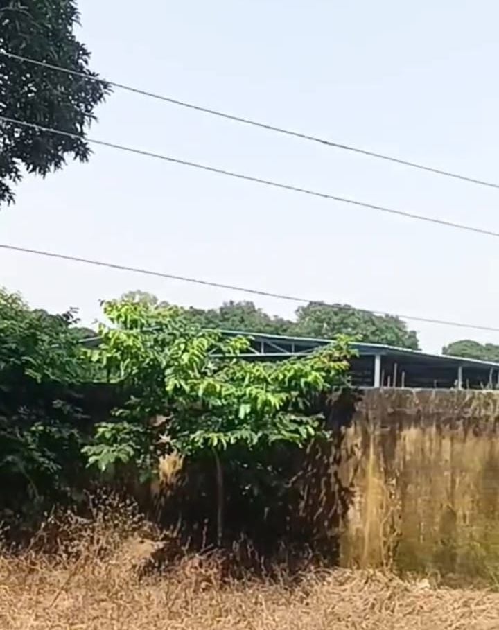 बिल्सी के मुख्य बाजार स्थित पुलिस चौकी से कटरा बाजार तक जर्जर लाइन लोगों के लिए बनी खतरा। संवाद बिल्सी के मुख्य बाजार स्थित पुलिस चौकी से कटरा बाजार तक जर्जर लाइन लोगों के लिए बनी खतरा। संवाद