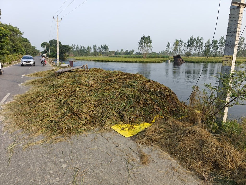 बाढ़ बाढ़