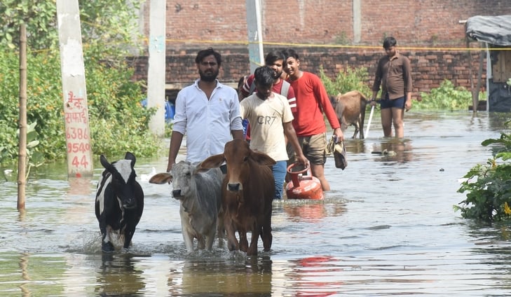 गोमती का जलस्तर बढ़ा हुआ है। गोमती का जलस्तर बढ़ा हुआ है।