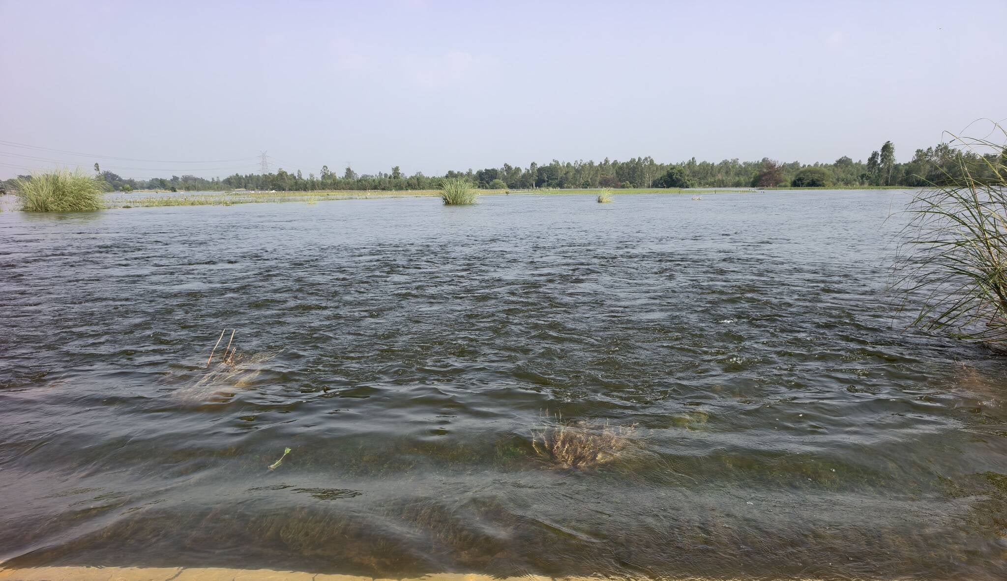 पनपथा में घरों के पास भरा पानी। संवाद पनपथा में घरों के पास भरा पानी। संवाद