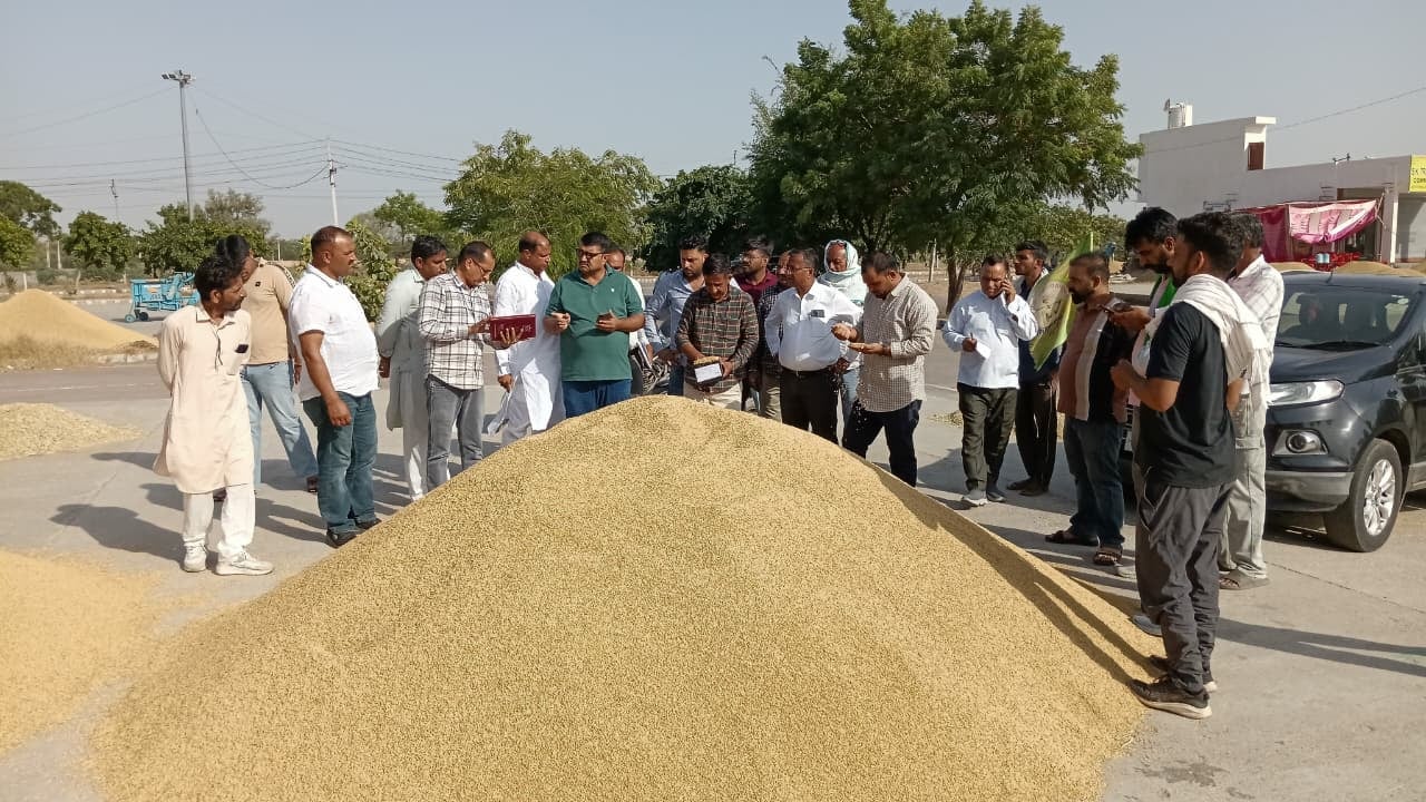 शहर की पुरानी अनाजमंडी में रखी धान की ढेरियां। संवाद