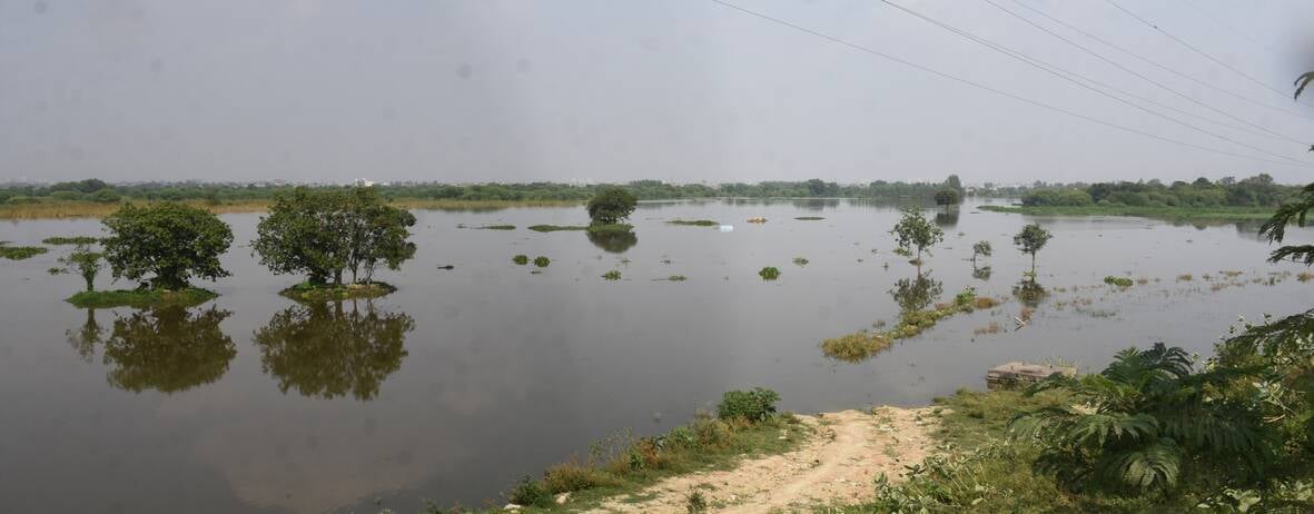 गोमती का बढ़ा जलस्तर। कई इलाकों में बाढ़। गोमती का बढ़ा जलस्तर। कई इलाकों में बाढ़।