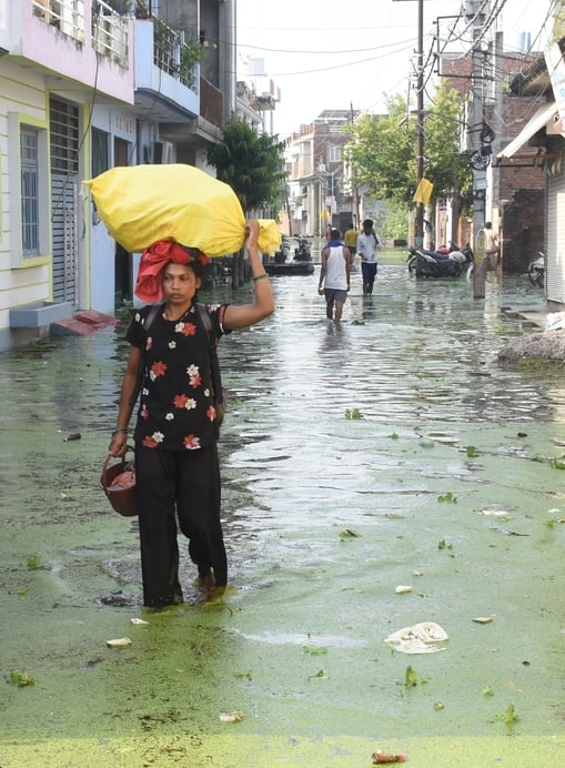 गोमती का बढ़ा जलस्तर। कई इलाकों में बाढ़। गोमती का बढ़ा जलस्तर। कई इलाकों में बाढ़।