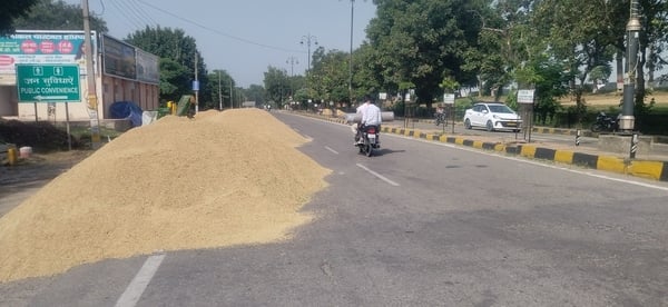 कुरुक्षेत्र। अनाज मंडी के मुख्य गेट से बाहर तक लगी ट्रैक्टर-ट्राली की लंबी लाइन। संवाद कुरुक्षेत्र। अनाज मंडी के मुख्य गेट से बाहर तक लगी ट्रैक्टर-ट्राली की लंबी लाइन। संवाद
