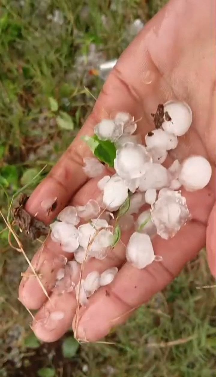 मंगरौरा क्षेत्र में हुई जोरदार बारिश। संवाद