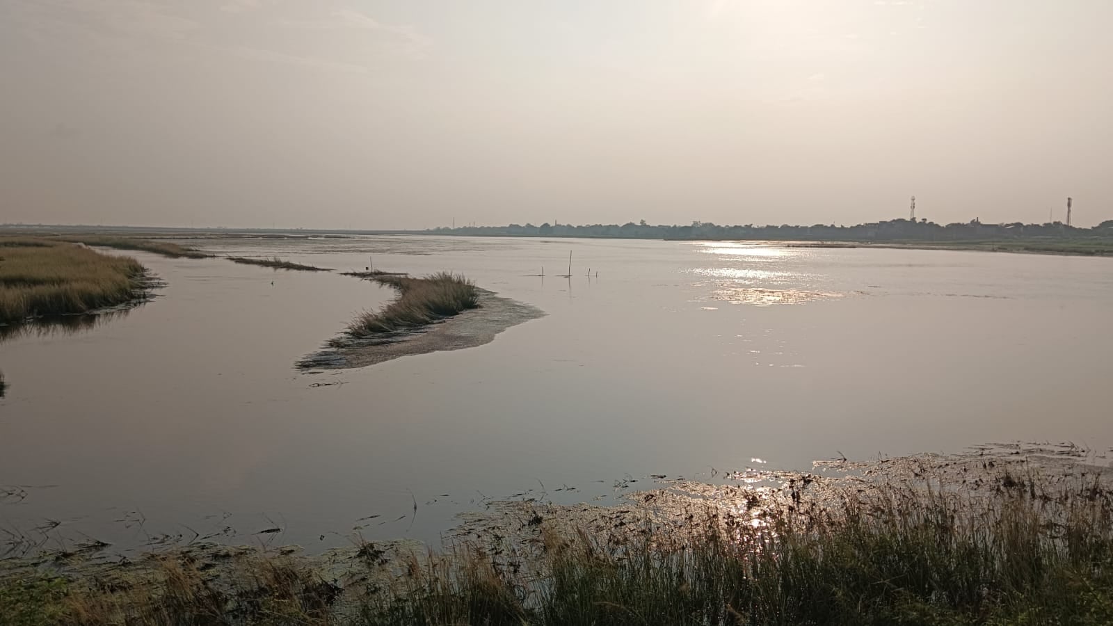 मसौनी गांव के सिवान में फैला मंगई का पानी। संवाद मसौनी गांव के सिवान में फैला मंगई का पानी। संवाद