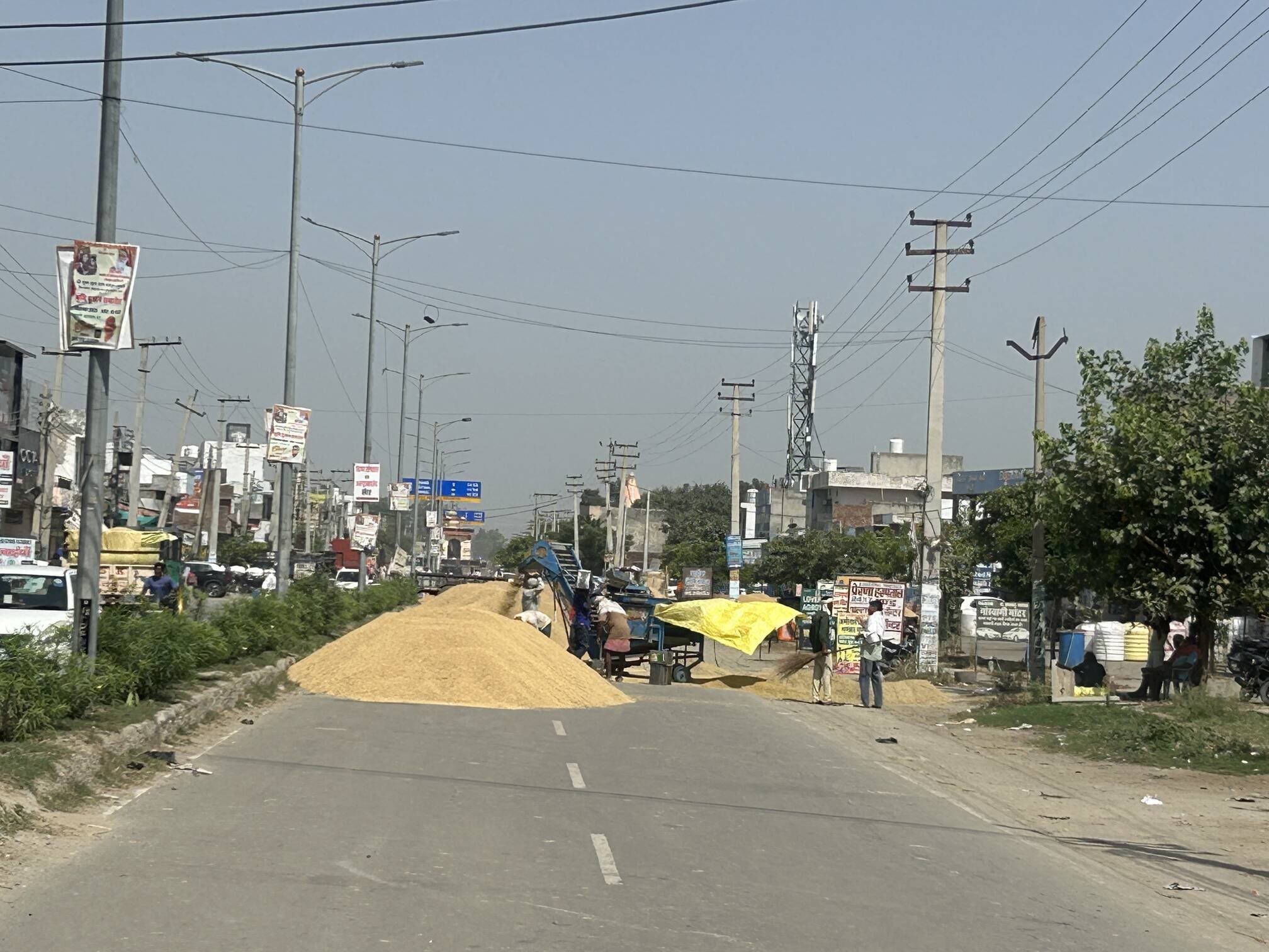 पूंडरी में सड़क पर उतारा गया धान। संवाद