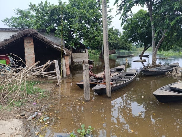 सल्टौआ ब्लाक के अजगैवाजगंल मे कुवानो की बाढ से डूबी फसल सल्टौआ ब्लाक के अजगैवाजगंल मे कुवानो की बाढ से डूबी फसल