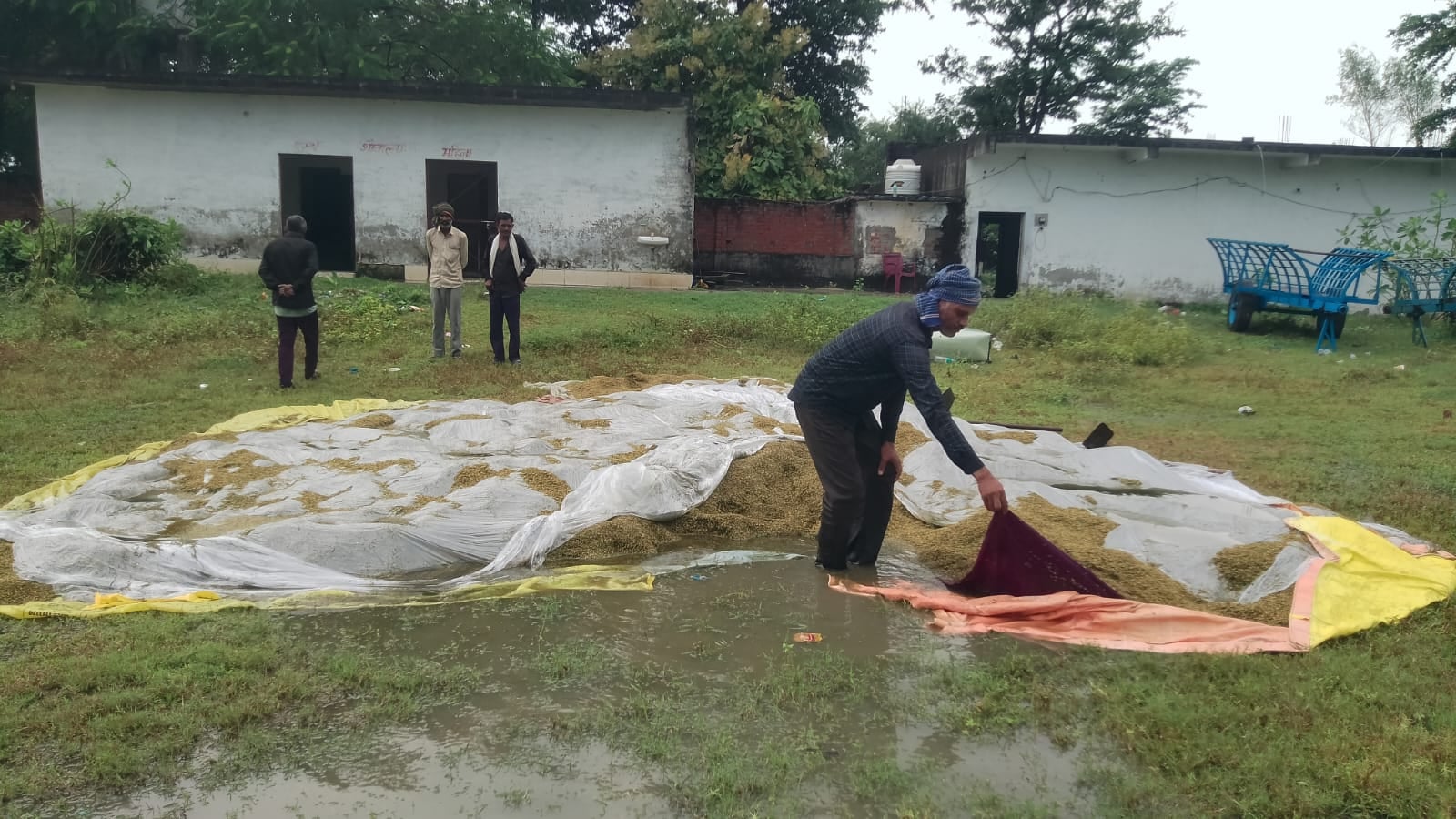 अमीरनगर मोहम्मदी-लखीमपुर हाईवे पर गिरे पेड़। संवाद