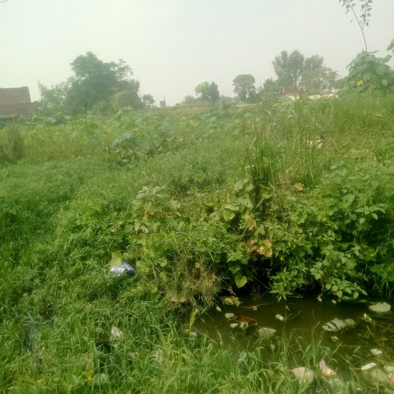 फोटो 10 गांव गंगागढ़ में जलभराव से होकर सिर पर गठरी ले जाती महिला। स्रोत: संवाद