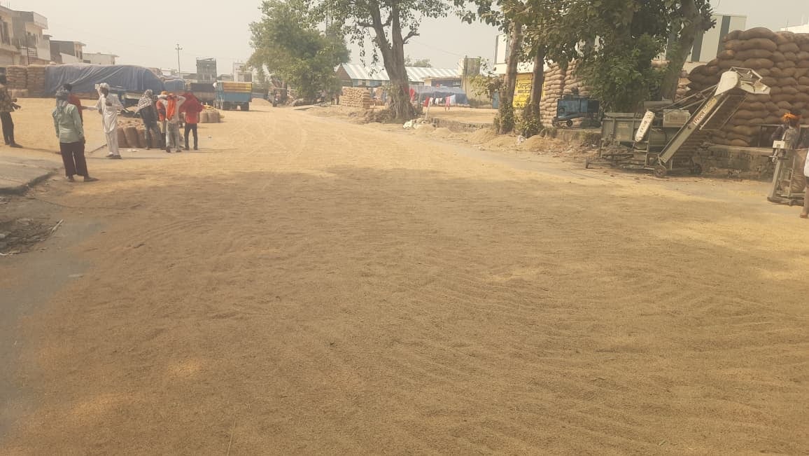 जगाधरी अनाज मंडी में डिवाइडरों पर लगी धान से भरी बोरियां। संवाद जगाधरी अनाज मंडी में डिवाइडरों पर लगी धान से भरी बोरियां। संवाद