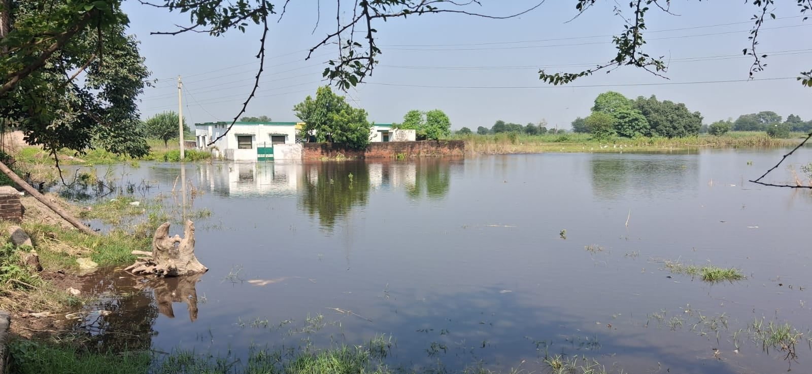 स्कूलों में भरा पानी। स्कूलों में भरा पानी।