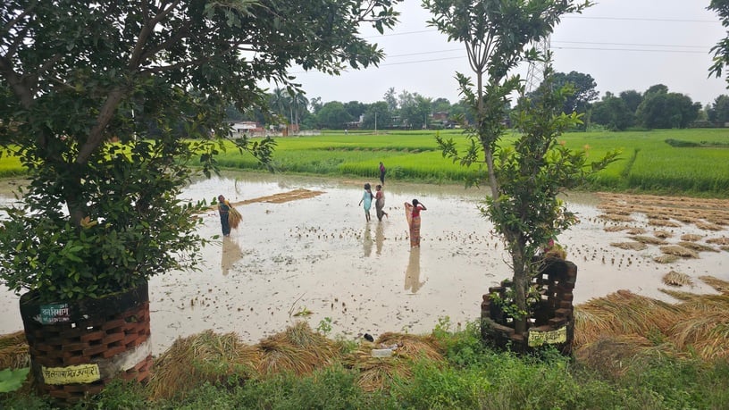 सम्मनपुर क्षेत्र में हो रही बारिश। सम्मनपुर क्षेत्र में हो रही बारिश।