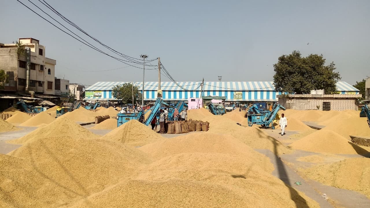 शहर की पुरानी अनाजमंडी में गेटपास जारी करवाने के लिए बायोमेट्रिक करवाते किसान। संवाद शहर की पुरानी अनाजमंडी में गेटपास जारी करवाने के लिए बायोमेट्रिक करवाते किसान। संवाद