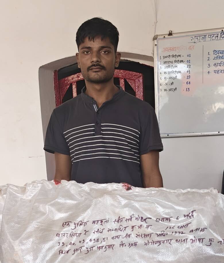 भोपा पुलिस द्वारा आरोपी के कब्जे से बरामद किए गए बारासिंघा हिरण के सींग। संवाद भोपा पुलिस द्वारा आरोपी के कब्जे से बरामद किए गए बारासिंघा हिरण के सींग। संवाद