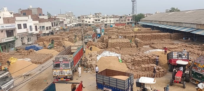 चीका अनाज मंडी परिसर में उठान के इंतजार में पड़ा धान। संवाद चीका अनाज मंडी परिसर में उठान के इंतजार में पड़ा धान। संवाद