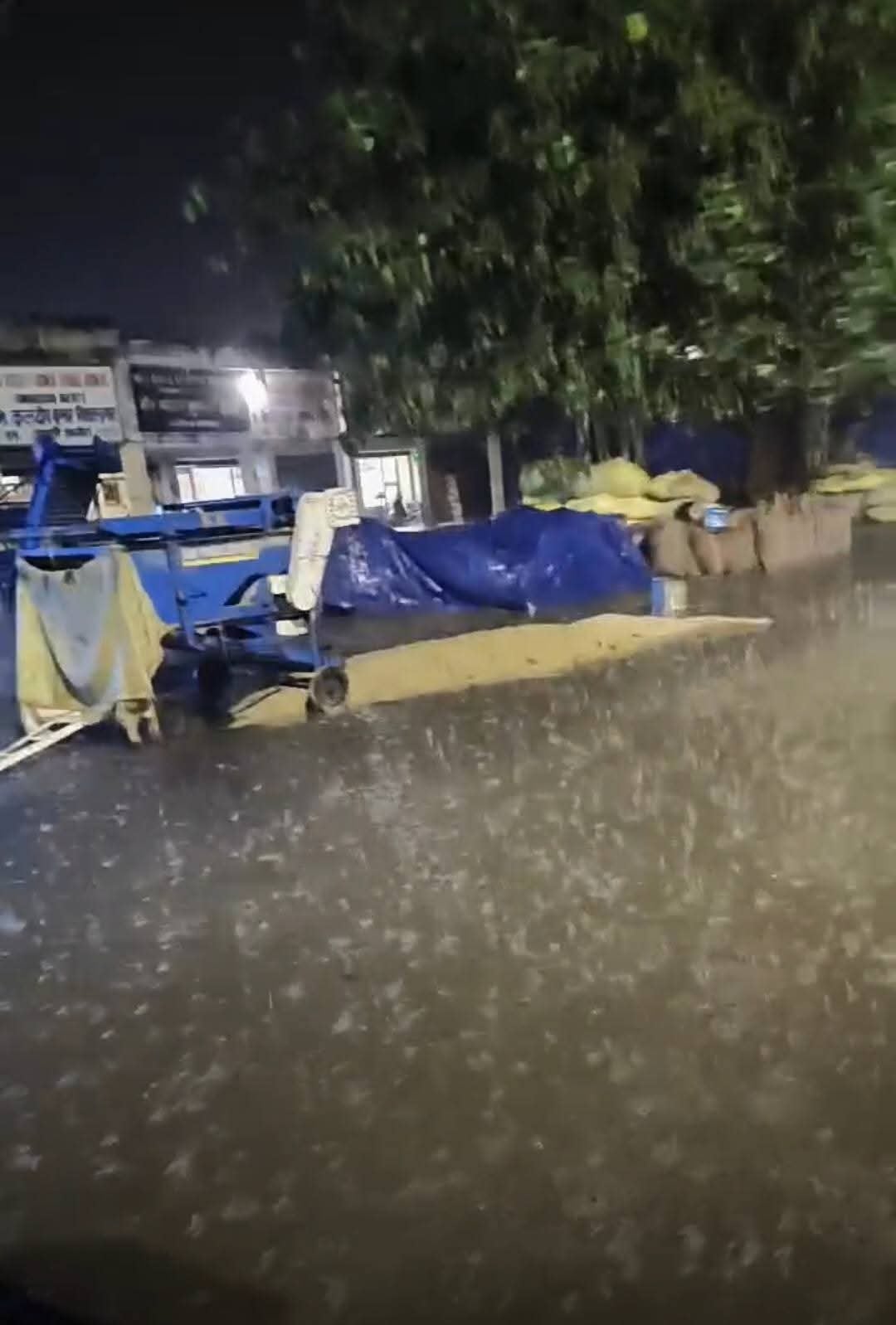 जगाधरी अनाज मंडी में उठान न होने से डिवाइडर पर लगी धान से भरी बोरियां। संवाद जगाधरी अनाज मंडी में उठान न होने से डिवाइडर पर लगी धान से भरी बोरियां। संवाद