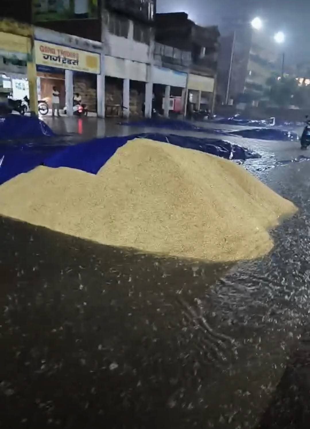 जगाधरी अनाज मंडी में उठान न होने से डिवाइडर पर लगी धान से भरी बोरियां। संवाद जगाधरी अनाज मंडी में उठान न होने से डिवाइडर पर लगी धान से भरी बोरियां। संवाद