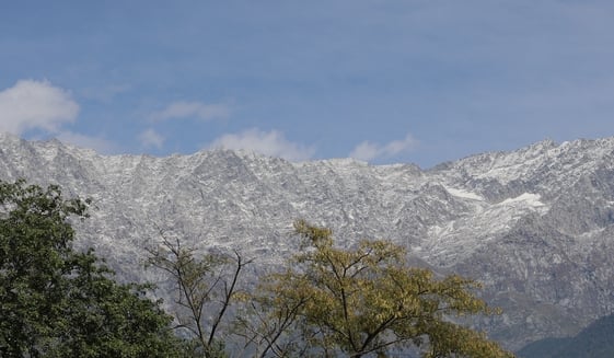 कांगड़ा विधानसभा के बीरचौक के पर खेतों में बारिश से भीगी धान की काटी फसल। अमर उजाला कांगड़ा विधानसभा के बीरचौक के पर खेतों में बारिश से भीगी धान की काटी फसल। अमर उजाला