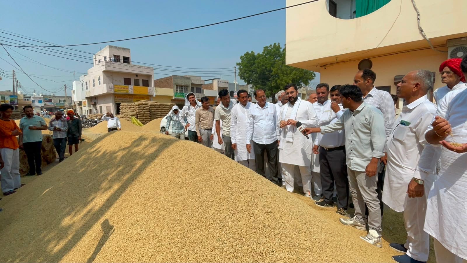 नई मंडी में धान का जायजा लेते आदित्य सुरजेवाला व अन्य। विज्ञप्ति