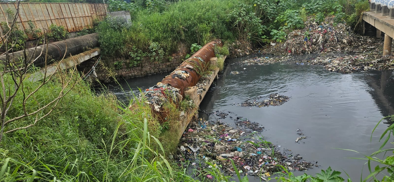 यमुना नदी मे नालों के टैप न होने से सीधे गिर रहा सीवर और प्लास्टिक कचरा, जिसे एनजीटी मे पेश किय