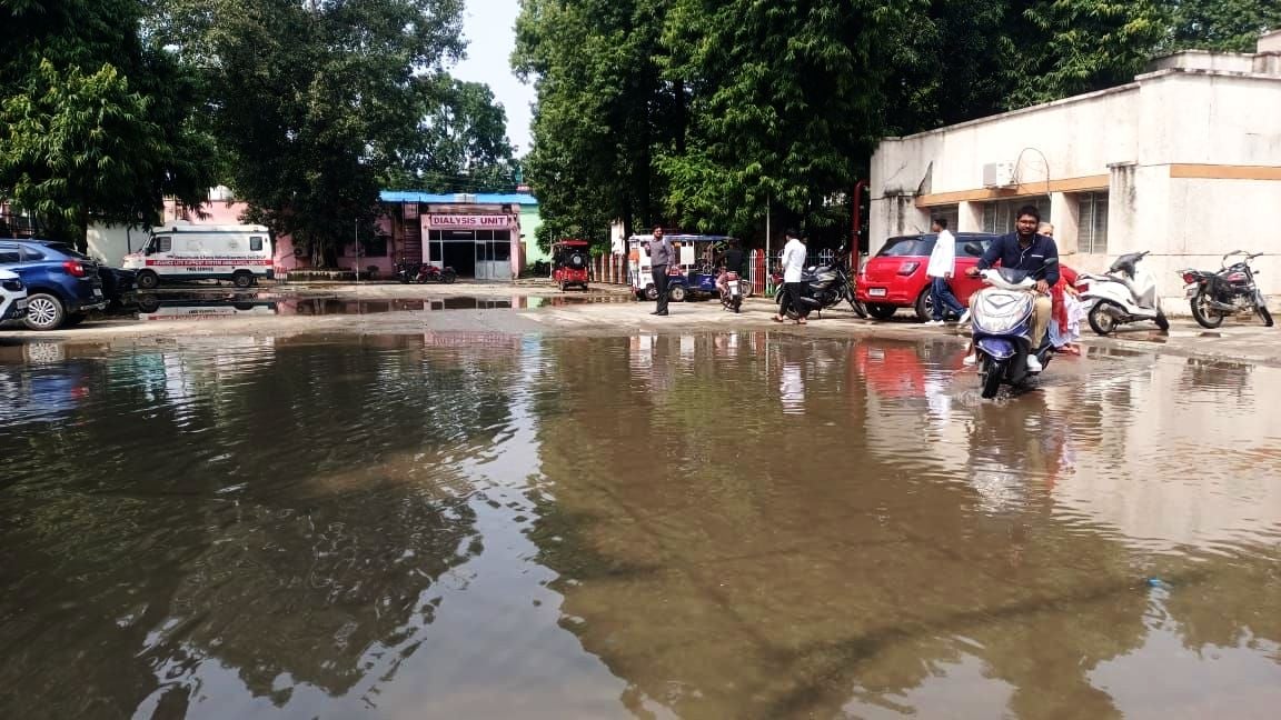 खुदागंज में पानी से खराब हुई फसल दिखाता किसान रमेश। संवाद खुदागंज में पानी से खराब हुई फसल दिखाता किसान रमेश। संवाद
