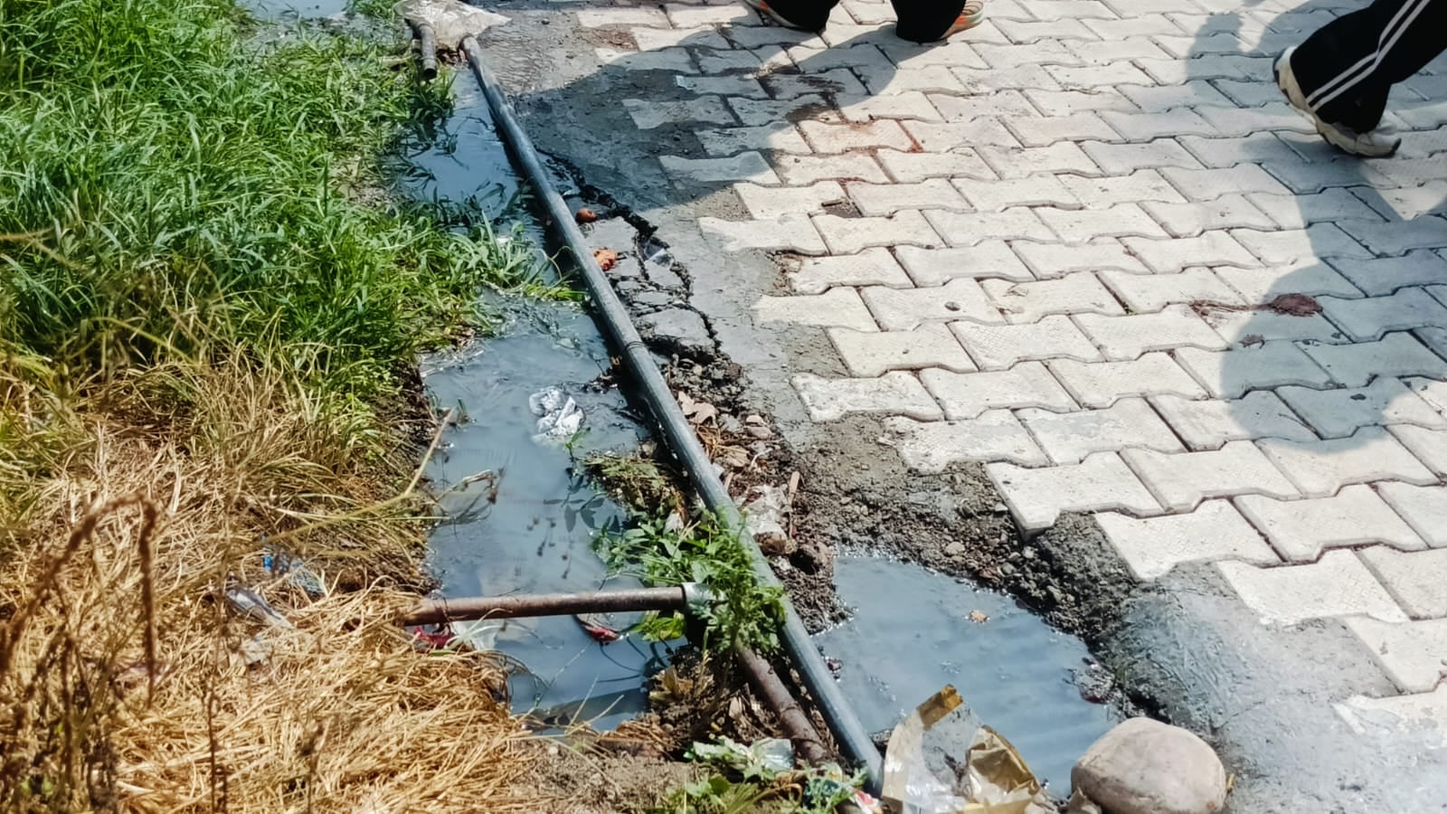 मेरी आवाज सुनो कोठी सड़क की हालत खराब, नालियां भी पड़ी हैं बंद मेरी आवाज सुनो कोठी सड़क की हालत खराब, नालियां भी पड़ी हैं बंद