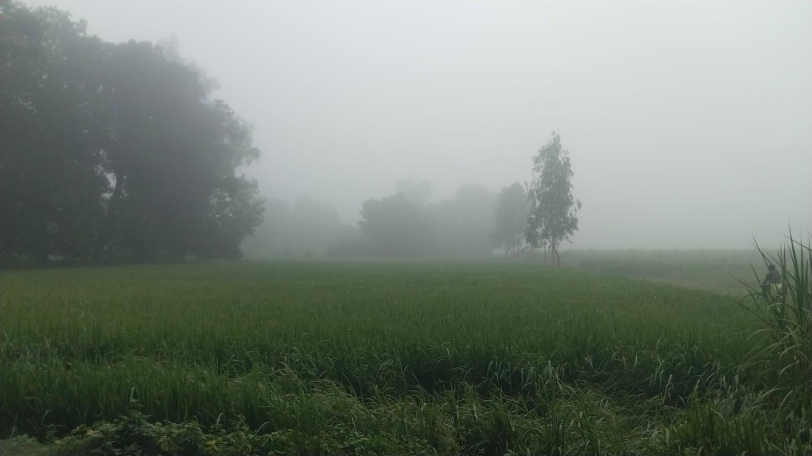 शुक्रवार सुबह कोहरे के बीच तमसा पुल से निकलते वाहन। संवाद शुक्रवार सुबह कोहरे के बीच तमसा पुल से निकलते वाहन। संवाद