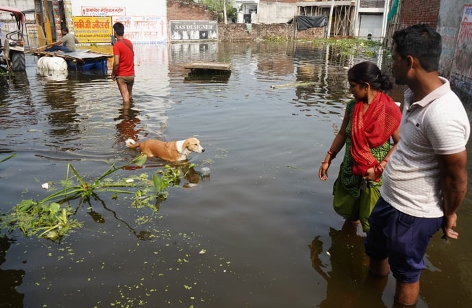 गोमती की बाढ़ और पानी निकालने के लिए लगे पंप। गोमती की बाढ़ और पानी निकालने के लिए लगे पंप।