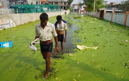 गोमती की बाढ़। गोमती की बाढ़।