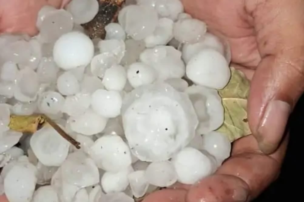 मेडिकल कॉलेज की ओपीडी के बाहर जीटी रोड एंबुलेंस के ऊपर गिरा पेड़। संवाद मेडिकल कॉलेज की ओपीडी के बाहर जीटी रोड एंबुलेंस के ऊपर गिरा पेड़। संवाद