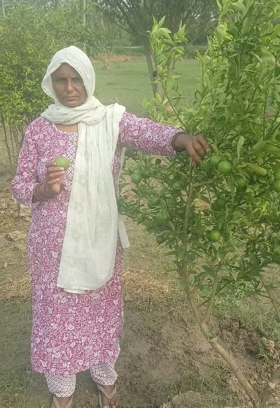 महिला किसान उर्मिला चौधरी। महिला किसान उर्मिला चौधरी।