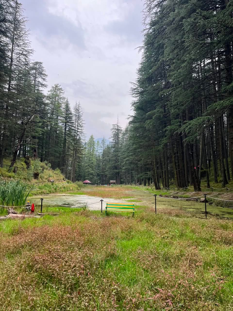 चिड़गांव क्षेत्र के खरशाली स्थित मां दुर्गा मंदिर में प्रसाद तैयार करती महिलाएं। चिड़गांव क्षेत्र के खरशाली स्थित मां दुर्गा मंदिर में प्रसाद तैयार करती महिलाएं।