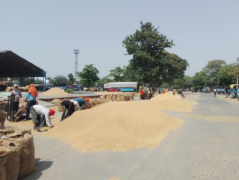 इसराना मार्केट कमेटी कार्यालय पर ताला लगाते हुए किसान यूनियन व किसान। संवाद