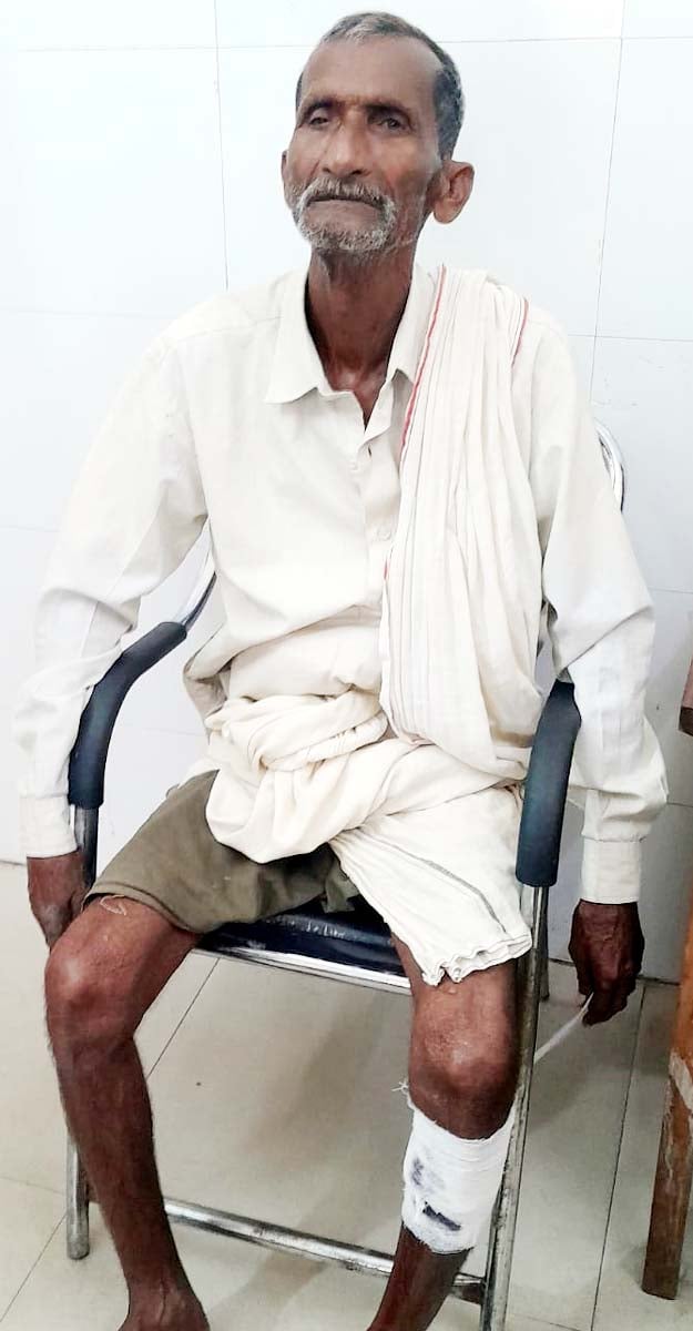 खुटार में कुत्ते को पकड़ती नगर पंचायत की टीम। संवाद खुटार में कुत्ते को पकड़ती नगर पंचायत की टीम। संवाद