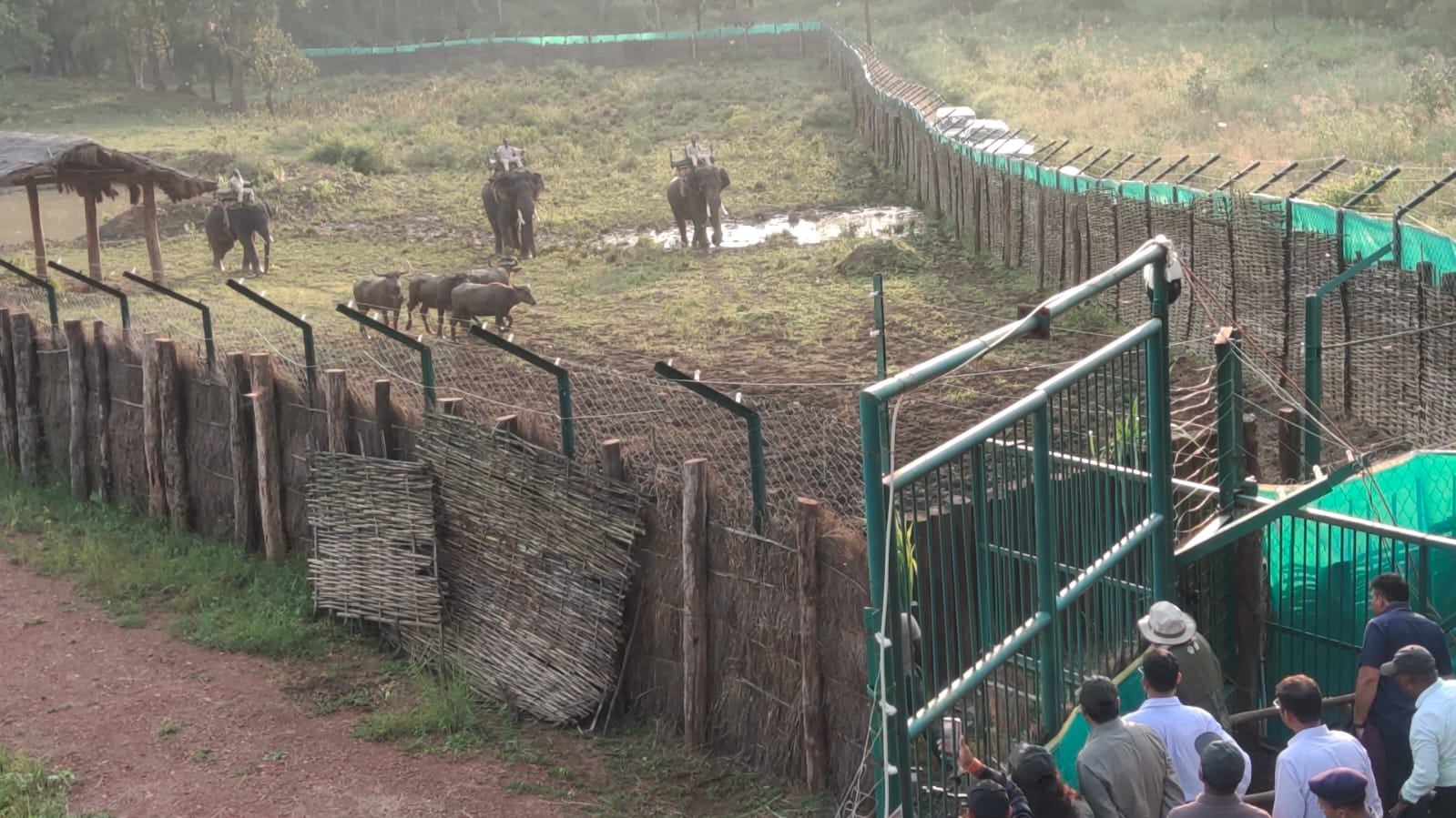 मुख्यमंत्री पहुंचे कान्हा टाइगर रिजर्व