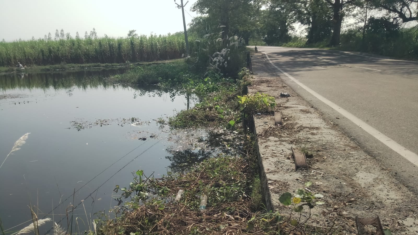 सिंगावर गांव में सड़क किनारे इसी गड्डे गिरने में गिरने से बच्ची की मौत हुई। संवाद सिंगावर गांव में सड़क किनारे इसी गड्डे गिरने में गिरने से बच्ची की मौत हुई। संवाद