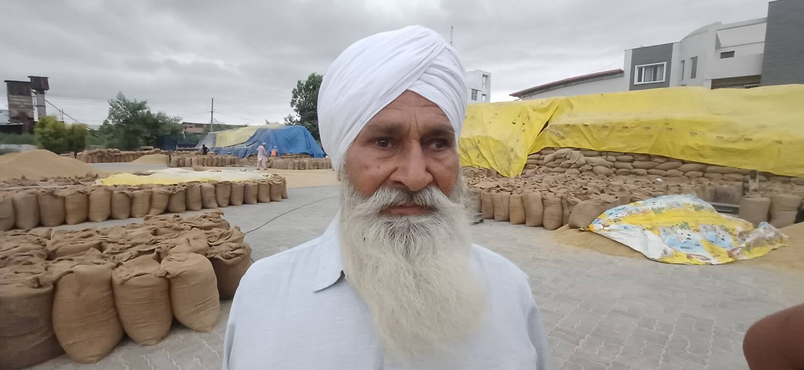 अंबाला छावनी की मोहडा अनाज मंडी में बरसात में भीगा धान। संवाद अंबाला छावनी की मोहडा अनाज मंडी में बरसात में भीगा धान। संवाद