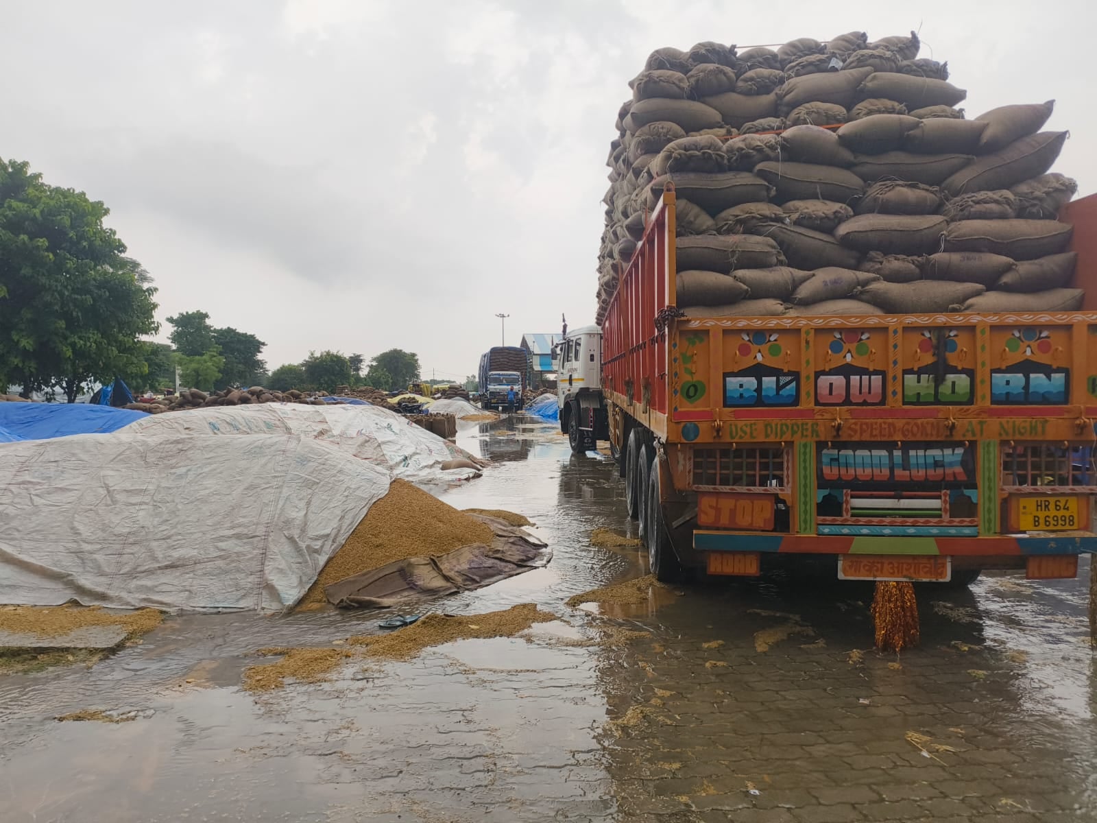 मंडी में भीगा हुआ धान। संवाद
