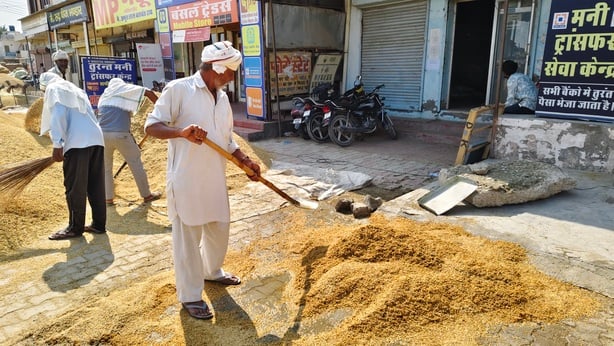 नई अनाजमंडी कैथल में बारिश के पानी में डूबे धान के कट्टे। संवाद नई अनाजमंडी कैथल में बारिश के पानी में डूबे धान के कट्टे। संवाद