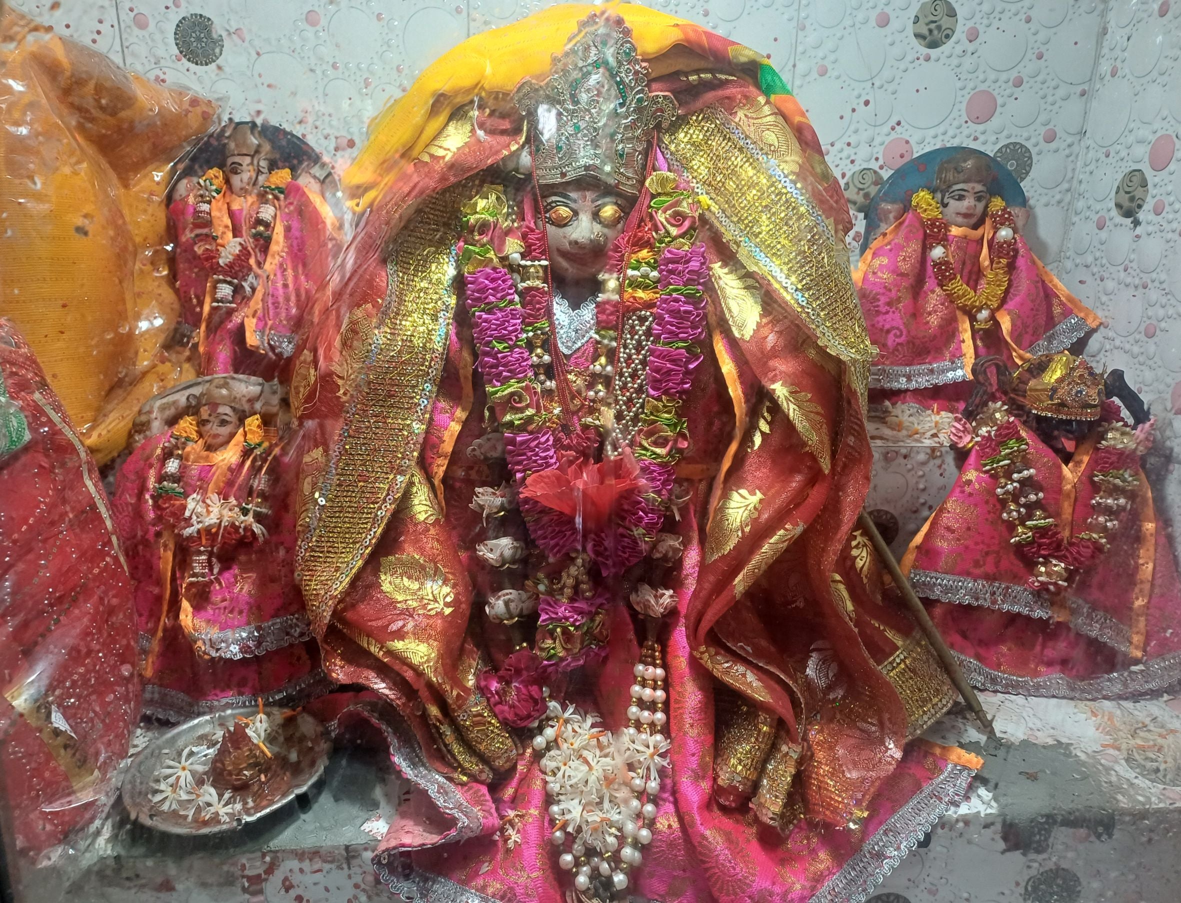 नवरात्र पर माता मिढुरिन देवी धाम मंदिर में माता रानी की पूजा करते भक्त। 