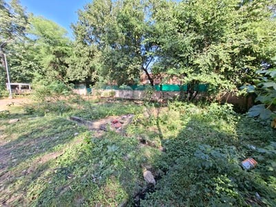 ऑफिसर्स कॉलोनी में गंदगी से बजबजा रही नाली ऑफिसर्स कॉलोनी में गंदगी से बजबजा रही नाली