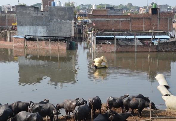 प्रेरणा स्थल से आठ जेनसेट से निकाल रहे पानी।