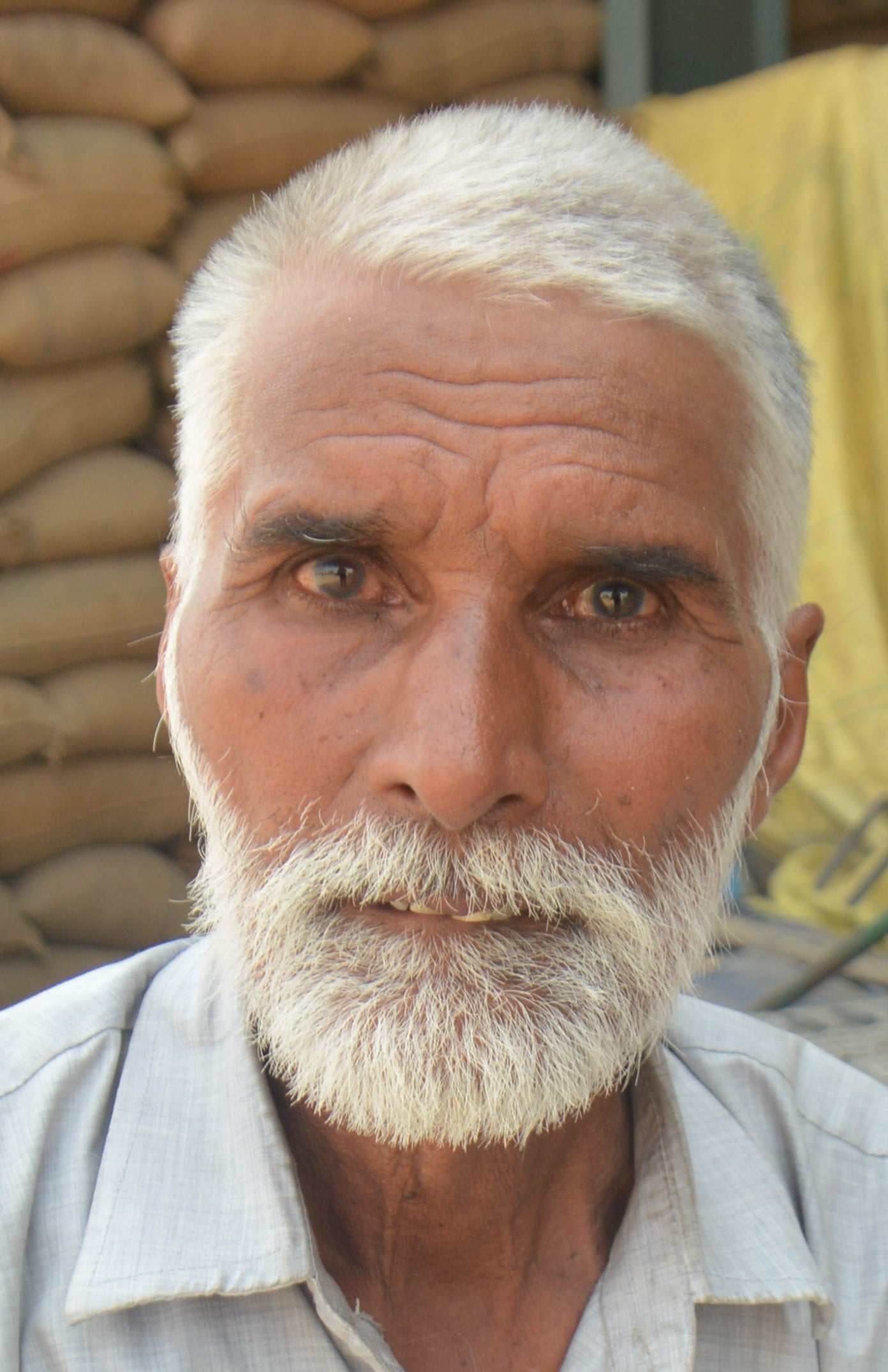 अंबाला छावनी की मोहडा अनाज मंडी में धान सुखाते श्रमिक। संवाद अंबाला छावनी की मोहडा अनाज मंडी में धान सुखाते श्रमिक। संवाद