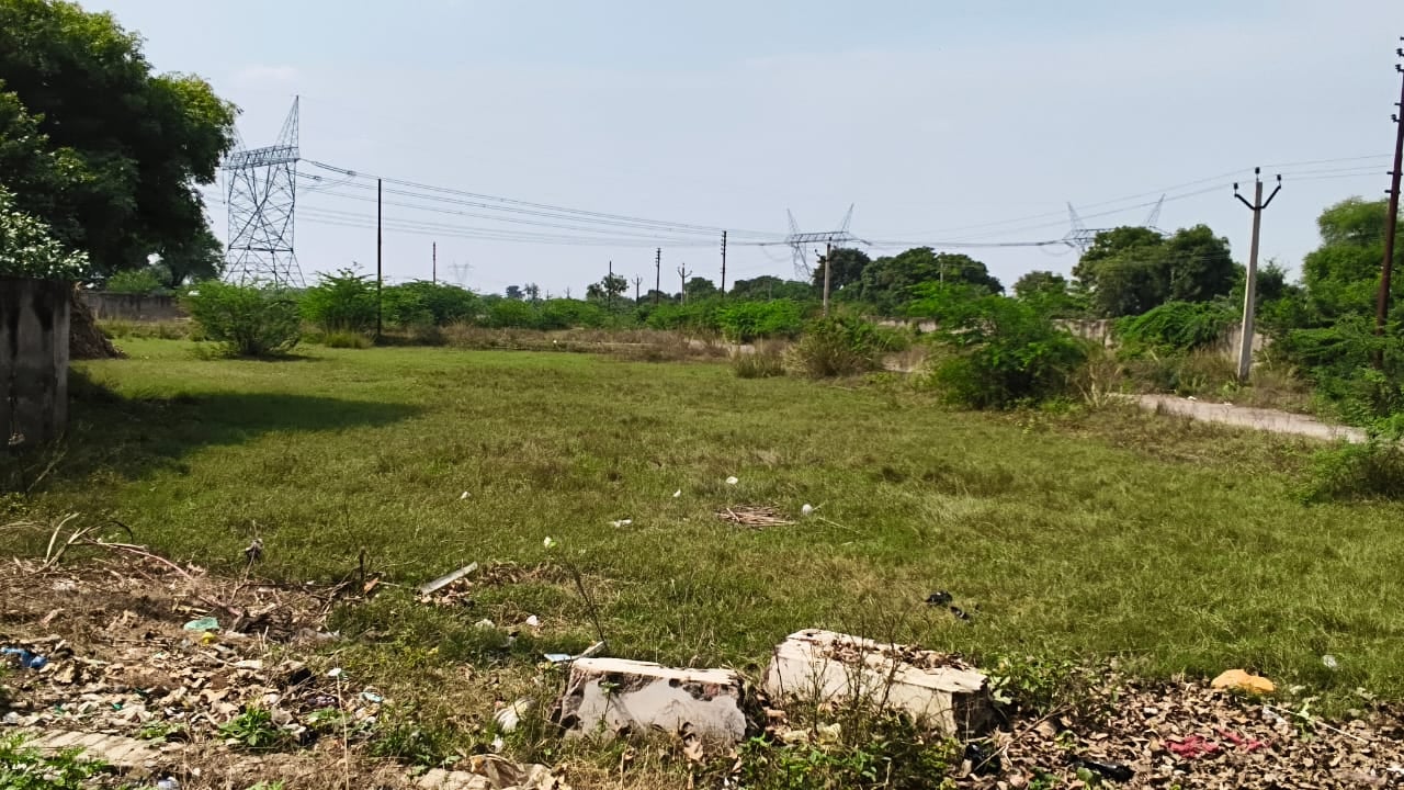 प्लास्टिक सिटी के अंदर खराब पड़ी सड़क और उगी झाड़ियां। संवाद