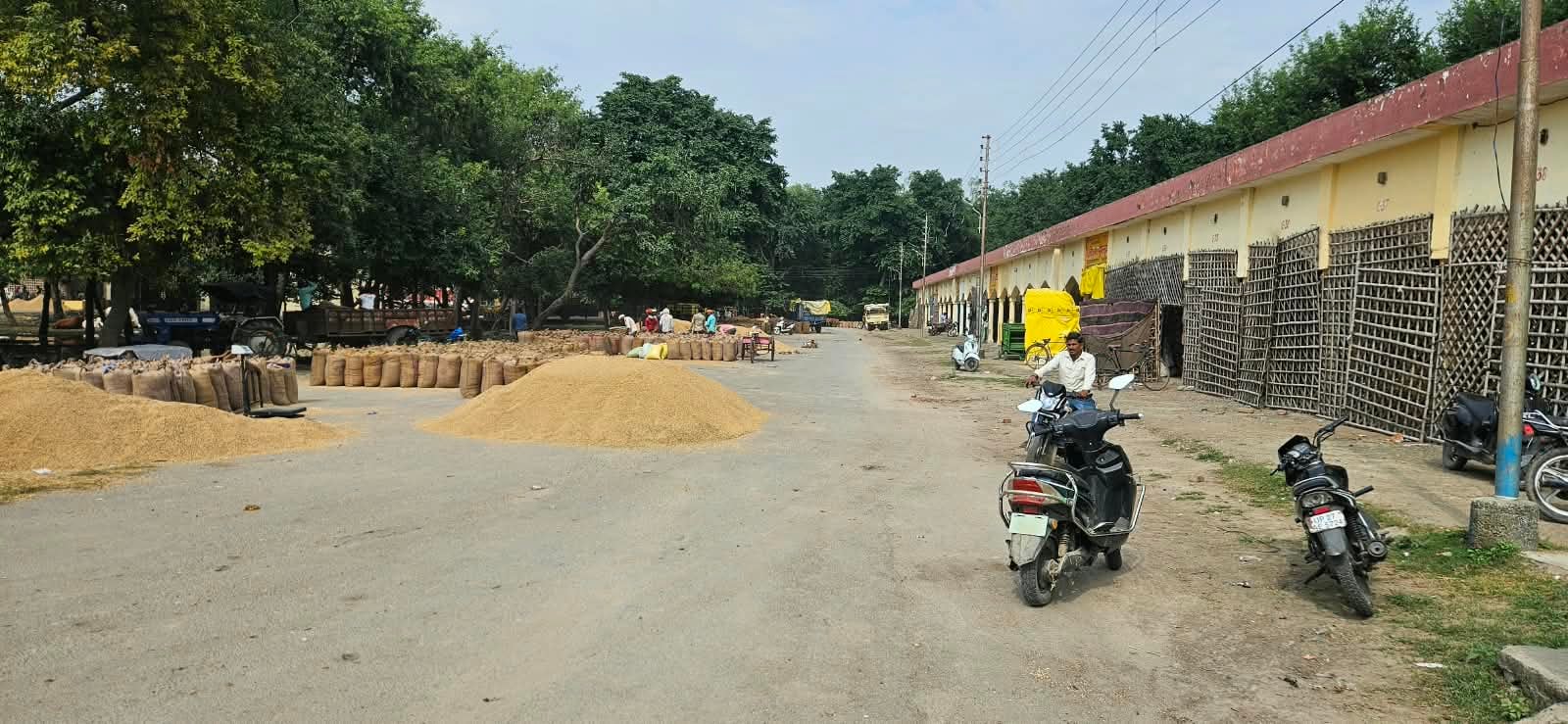 पुवायां मंडी में आरएफसी सेंटर पर धान की नमी चेक कराते एडीएम प्रशासन। संवाद