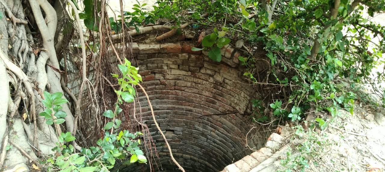 बरदह गांव में गणेश तिवारी के घर के सामने बदहाल पड़ा प्राचीन कुआं। संवाद बरदह गांव में गणेश तिवारी के घर के सामने बदहाल पड़ा प्राचीन कुआं। संवाद