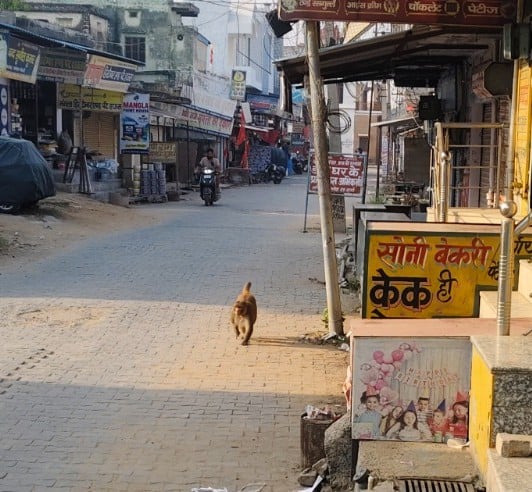 फोटो संख्या:-62 अंकित सीगड़ा। संवाद फोटो संख्या:-62 अंकित सीगड़ा। संवाद