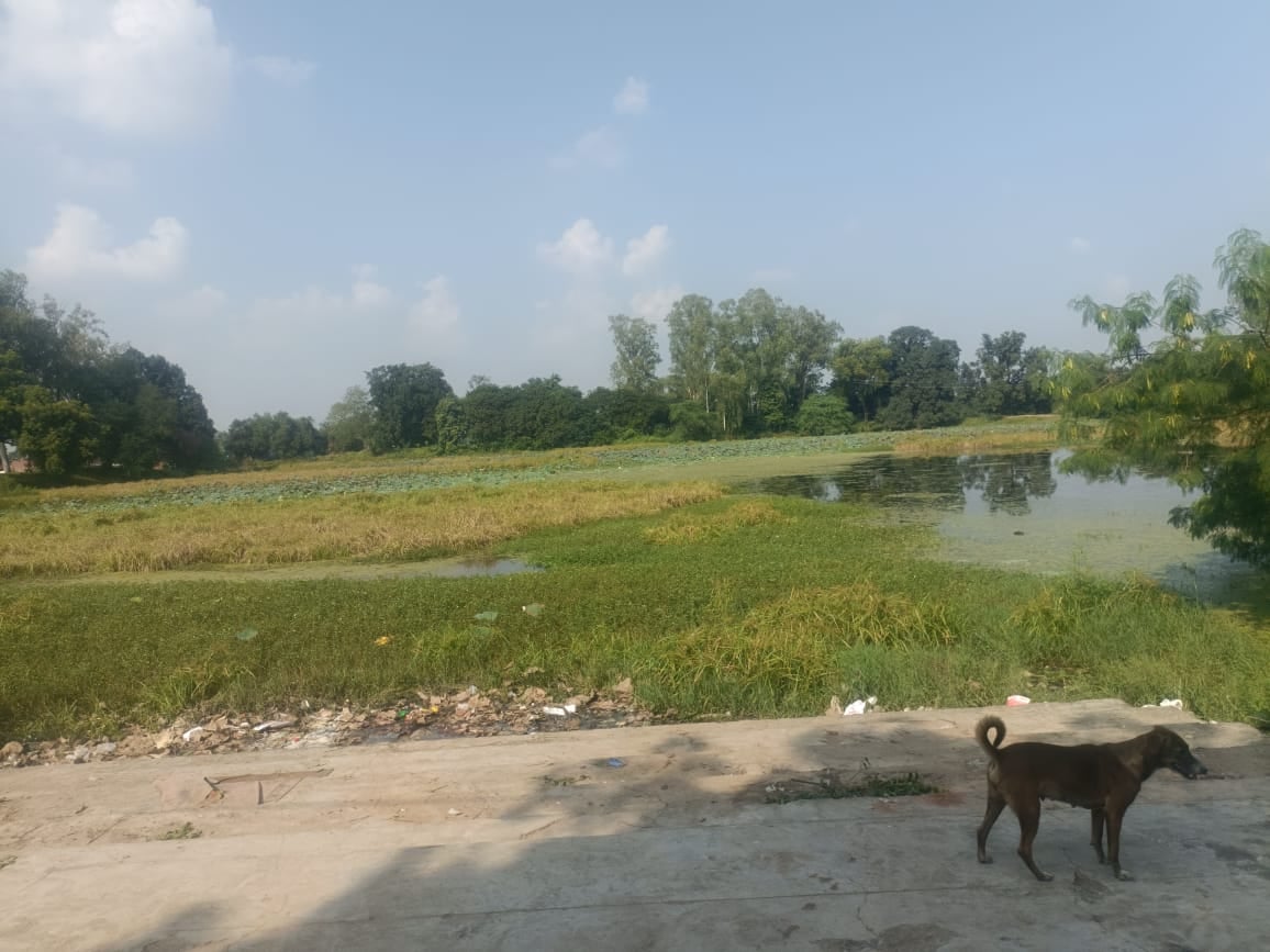 मेजा के बाबा भोलेनाथ धाम के परिसर में बनने लगा धर्मशाला। संवाद मेजा के बाबा भोलेनाथ धाम के परिसर में बनने लगा धर्मशाला। संवाद